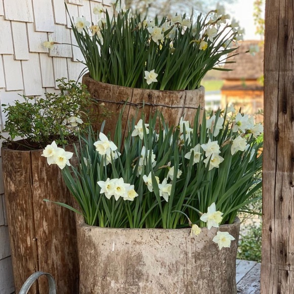 5 ⭐️⭐️⭐️⭐️⭐️ Rated Poshmark Ambassador - Picture 6 of 11